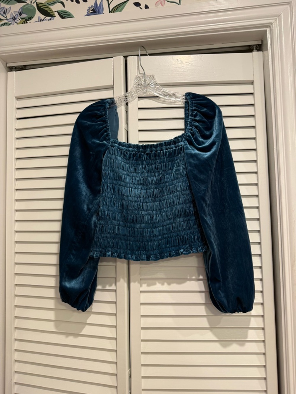Anthropologie Women's blue Velvet Smocked Puff Sleeve Top